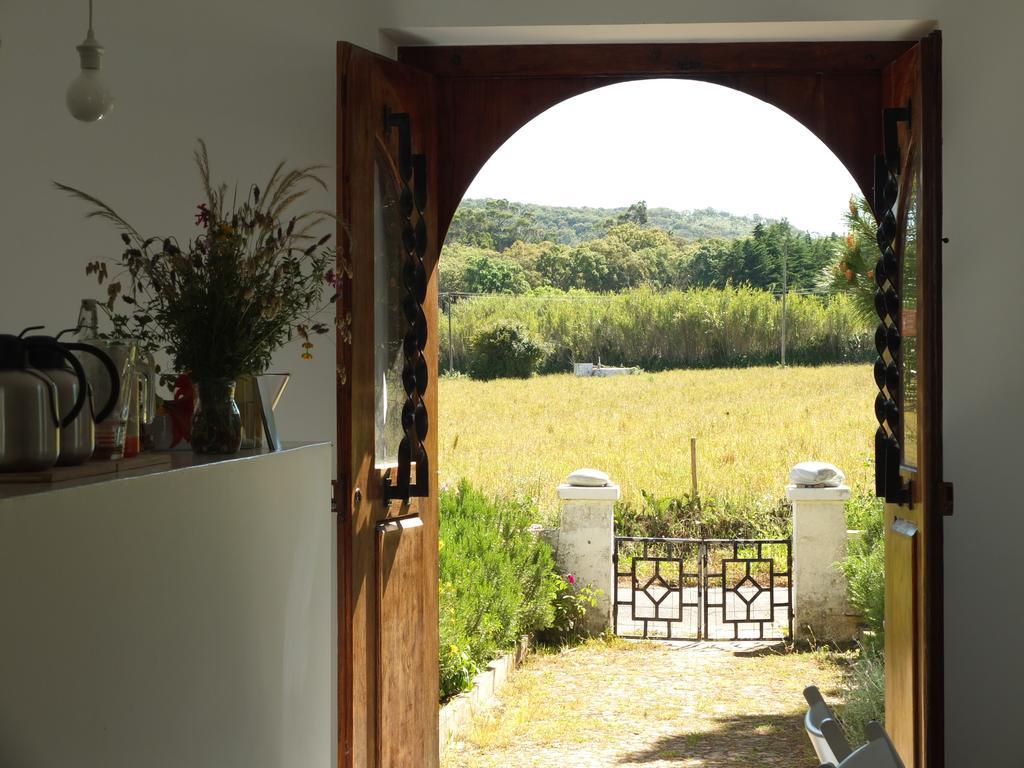 Cabeca Da Cabra Apartament